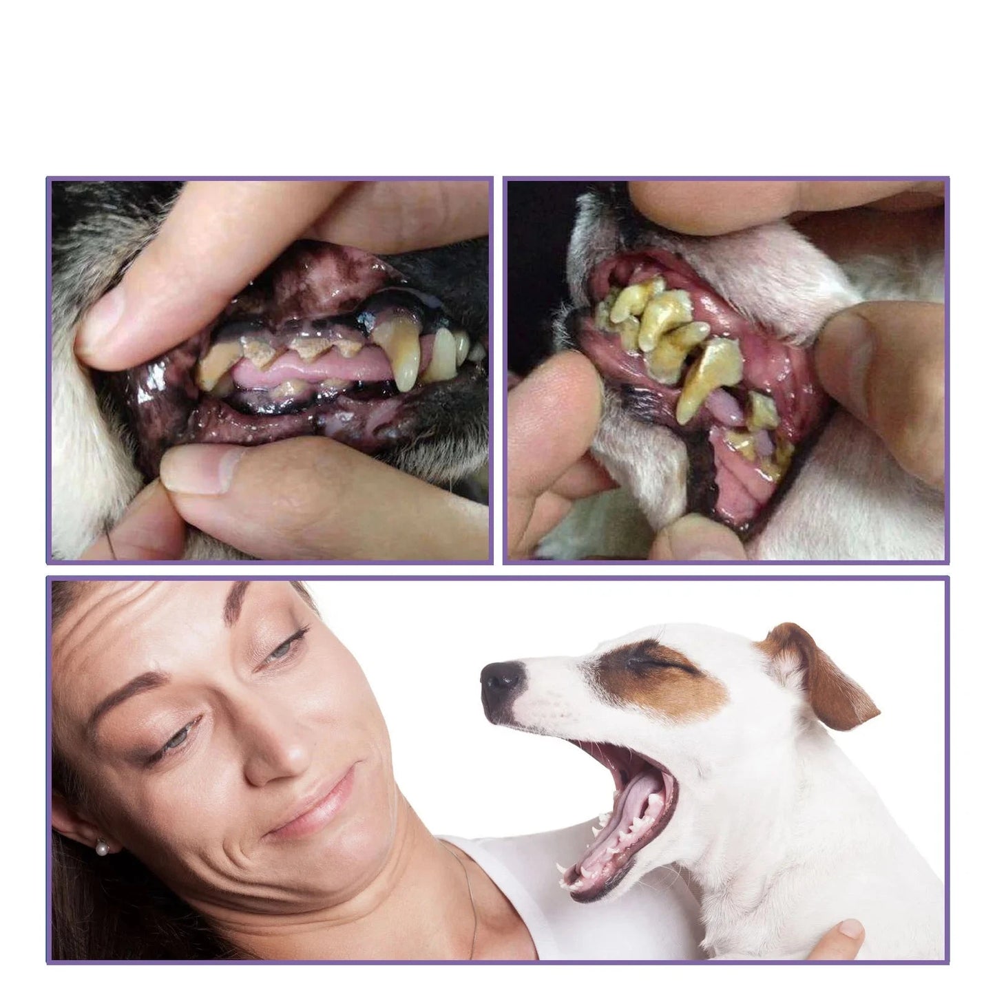 Gel RepMov Oral Pet™