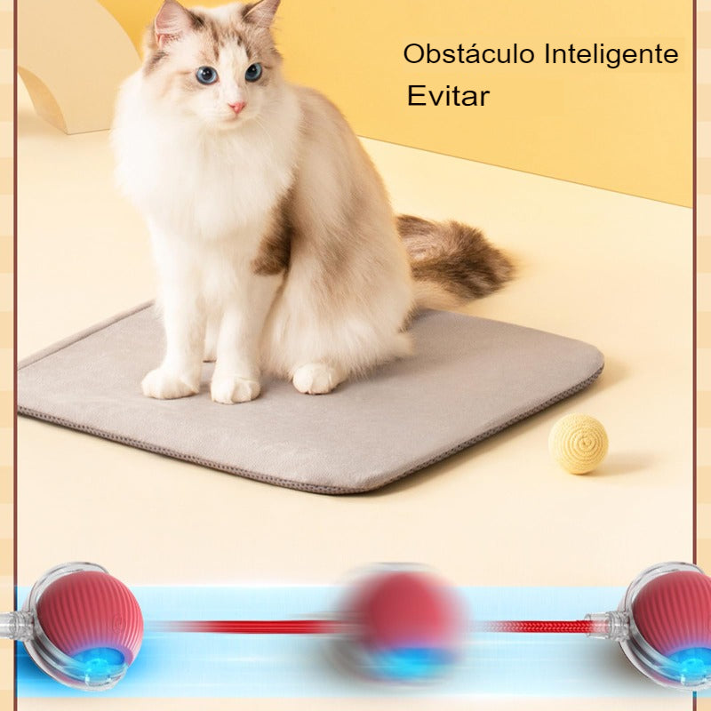 Bola Active Pet™